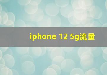 iphone 12 5g流量